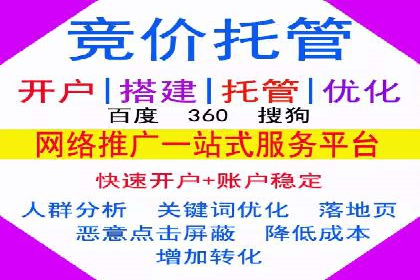 某行业SEM竞价策略的运营实践与效果